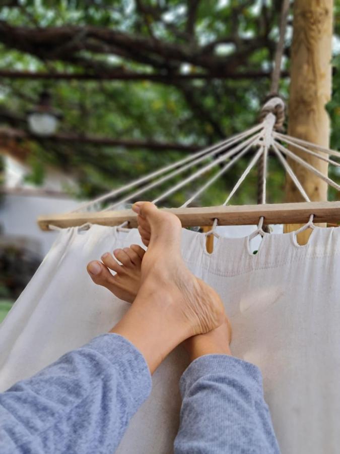 Los Huertos Conect With The Nature & Relax 伊科德·德·洛斯·维诺斯 外观 照片